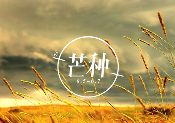 芒種丨你在歲月奔忙的模樣，值得被大地犒賞