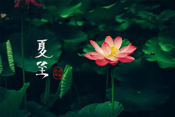 夏至|愿所有期許，如約而至