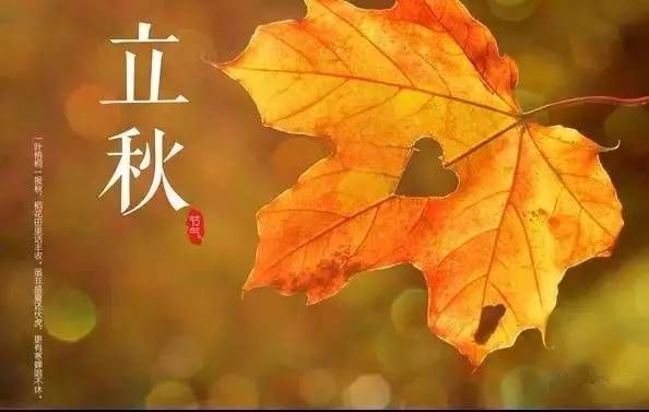 夏未盡，秋已至